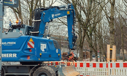 Baumfachliche Baubegleitung in Berlin & Brandenburg