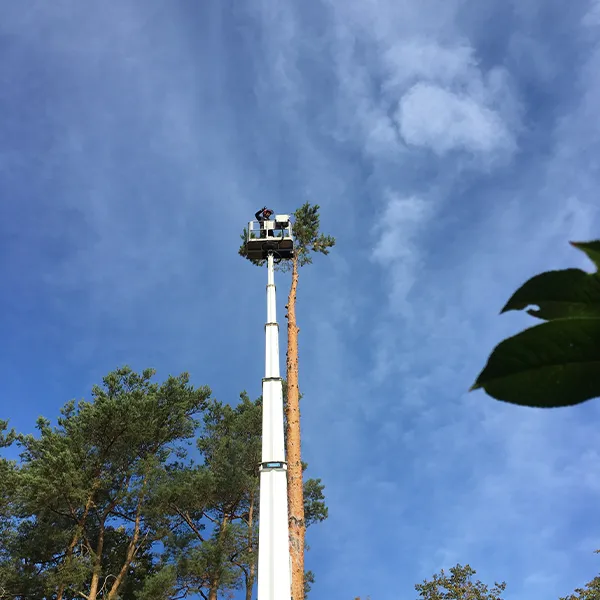 Pörner & Horn Fachbetrieb Baumpflege GmbH, Ihr Fachbetrieb für Baumpflege und Gartenpflege in Berlin und Brandenburg.